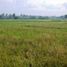  Land for sale in Pura Tanah Lot, Kediri, Kediri