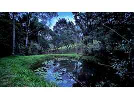  Grundstück zu verkaufen in Retiro, Antioquia, Retiro