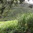 3 Bedroom Villa for sale in Villamaria, Caldas, Villamaria