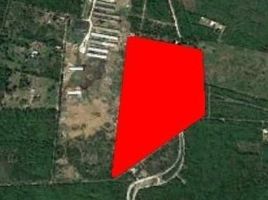  Grundstück zu verkaufen in Conkal, Yucatan, Conkal