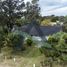 4 Habitación Casa en venta en Pinamar, Buenos Aires, Pinamar