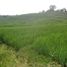  Land for sale in Selemadeg, Tabanan, Selemadeg