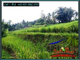  Land for sale in Penebel, Tabanan, Penebel