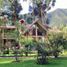 3 Schlafzimmer Haus zu verkaufen in Urubamba, Cusco, Urubamba