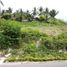  Land for sale in Oslob, Central Visayas, Oslob