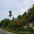  Terreno (Parcela) en venta en Oslob, Central Visayas, Oslob