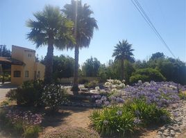  Land for sale in Chile, Casa Blanca, Valparaiso, Valparaiso, Chile