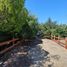  Land for sale in Chile, Casa Blanca, Valparaiso, Valparaiso, Chile