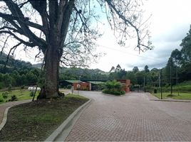  Grundstück zu verkaufen in Rionegro, Antioquia, Rionegro, Antioquia