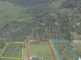  Terrain for sale in Nayarit, Tepic, Nayarit