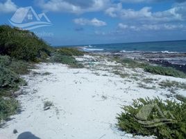  Grundstück zu verkaufen in Cozumel, Quintana Roo, Cozumel