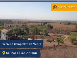 Terrain à vendre à Culiacan, Sinaloa, Culiacan