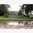  Land for sale in Matamoros, Coahuila, Matamoros
