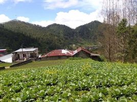  Land for sale in Tawang Mangu, Jawa Tengah, Tawang Mangu