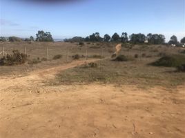  Terreno (Parcela) en venta en Chile, Algarrobo, San Antonio, Valparaíso, Chile