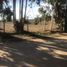  Terreno (Parcela) en venta en Chile, Algarrobo, San Antonio, Valparaíso, Chile