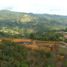  Grundstück zu verkaufen in Rionegro, Antioquia, Rionegro, Antioquia, Kolumbien