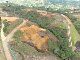  Grundstück zu verkaufen in Rionegro, Antioquia, Rionegro, Antioquia, Kolumbien