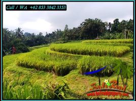  Land for sale in Penebel, Tabanan, Penebel