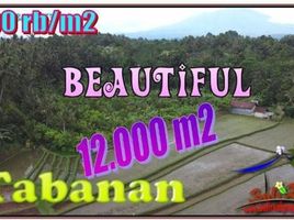  Land for sale in Selemadeg, Tabanan, Selemadeg