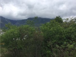  Grundstück zu verkaufen in Monterrey, Nuevo Leon, Monterrey