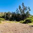 1 Bedroom Villa for sale in Chile, Illapel, Choapa, Coquimbo, Chile