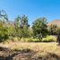 1 Bedroom Villa for sale in Chile, Illapel, Choapa, Coquimbo, Chile