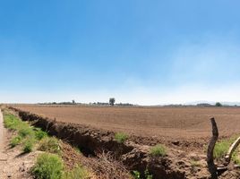 Terrain à vendre à Zapopan, Jalisco, Zapopan, Jalisco