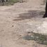  토지을(를) Cicadas, 반둥에서 판매합니다., Cicadas