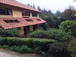 5 Habitación Casa en venta en Parque Isidora Cousiño De Lota, Viña del Mar, Viña del Mar