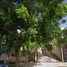 2 Bedroom Villa for sale in Cajeme, Sonora, Cajeme, Sonora