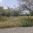  Land for sale in Doctor Arroyo, Nuevo Leon, Doctor Arroyo