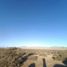  Terreno (Parcela) en venta en Chile, Caldera, Copiapó, Atacama, Chile