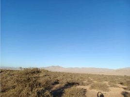  Terreno (Parcela) en venta en Chile, Caldera, Copiapó, Atacama, Chile