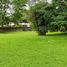  Terreno (Parcela) en venta en Las Cumbres, Ciudad de Panamá, Las Cumbres
