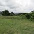  Land for sale in Dosquebradas, Risaralda, Dosquebradas