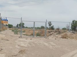  Land for rent in San Luis Potosi, San Luis Potosi, San Luis Potosi, San Luis Potosi