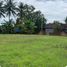  Land for sale in Pengasih, Kulon Progo, Pengasih