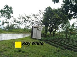  Land for sale in Pacet, Mojokerto, Pacet