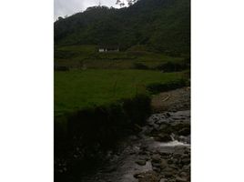  Land for sale in El Carmen De Viboral, Antioquia, El Carmen De Viboral