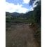  Land for sale in El Carmen De Viboral, Antioquia, El Carmen De Viboral