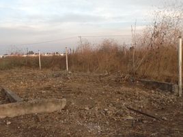  Terreno (Parcela) en venta en Irapuato, Guanajuato, Irapuato