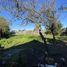 3 Bedroom House for sale in Chile, Puerto Montt, Llanquihue, Los Lagos, Chile