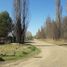  Land for sale in Confluencia, Neuquen, Confluencia