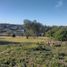  Terrain for sale in Balcarce, Buenos Aires, Balcarce