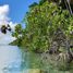  Grundstück zu verkaufen in Othon P Blanco, Quintana Roo, Othon P Blanco
