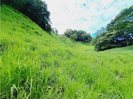 2 Schlafzimmer Villa zu verkaufen in Baru, Chiriqui, Puerto Armuelles