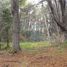  Land for sale in Rio Negro, Bariloche, Rio Negro