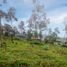  Terreno (Parcela) en venta en San Joaquin, Cuenca, San Joaquin