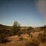  Land for sale in Chile, Rinconada, Los Andes, Valparaiso, Chile